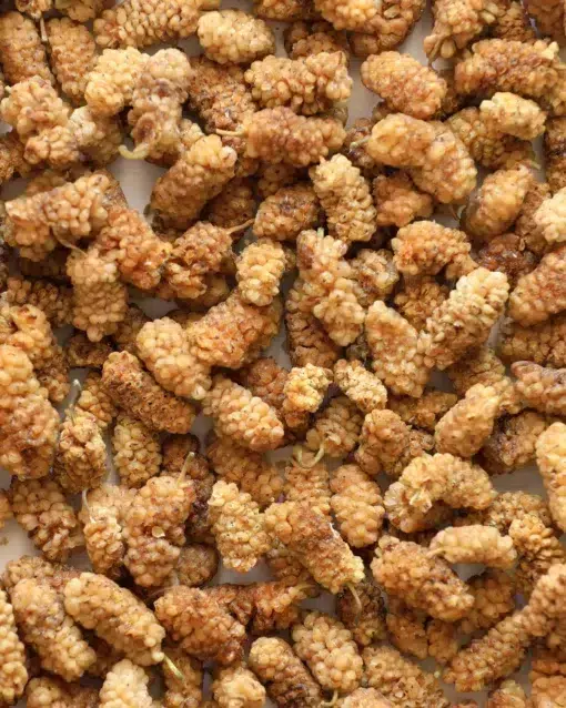 Dried white mulberry