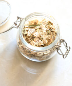 Dried angelica seeds