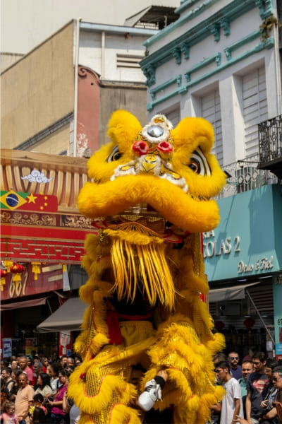 Lion and Dragon Dance